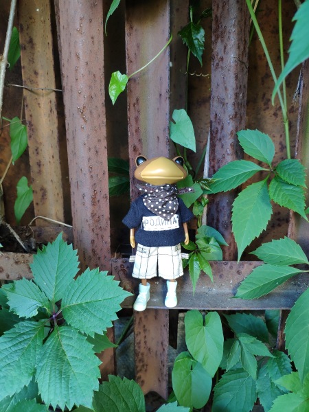 Лето с лягушками — Коллекционные куклы разных авторов (Разное): редкие бренды