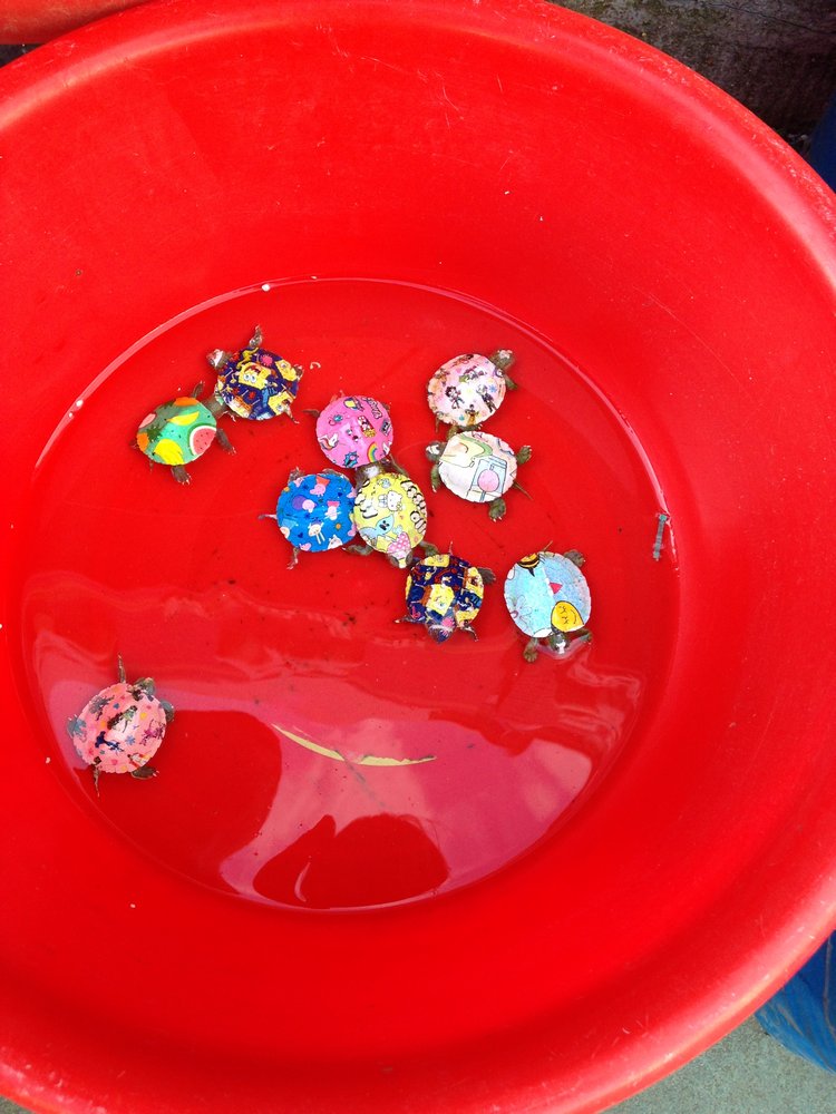 Прогулка по Китаю-2 (обзор цен на игрушки, животных, шмотки, еду)