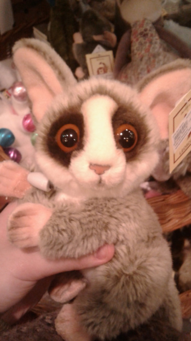 Предновогодний Петербург 2019, прогулка по Невскому проспекту