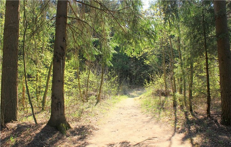 Савватьева Пустынь, Тверская область