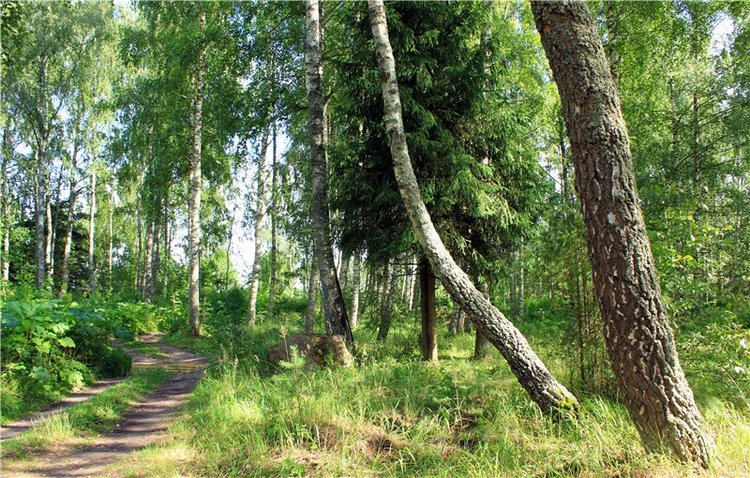 Августовское путешествие в "Сад Камней" | Бэйбики Августовское путешествие в "Сад Камней"