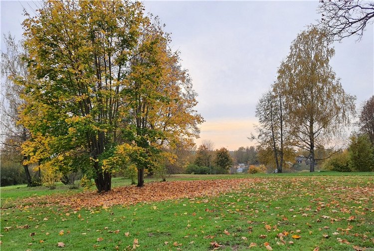 Золотая Осень в Берново с Имани. Mini Imani от Kaye Wiggs