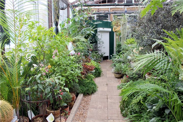 Тверской Ботанический Сад, продолжение | Бэйбики Тверской Ботанический Сад, продолжение