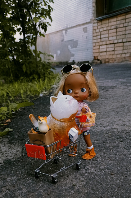 Holala Pipita Peter — Куклы Holala (Холала) от Jenny Fairytown: Pipita