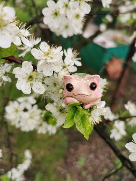 Лягушка Ванда и все-все-все