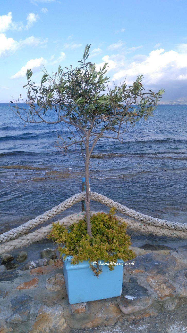 Kidz' тур. Нико на Крите. Херсониссос