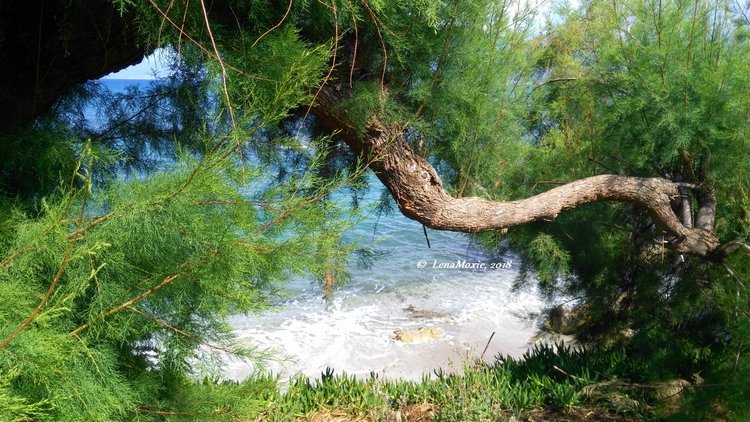 Kidz' тур. Нико на Крите. Херсониссос (фото 6)