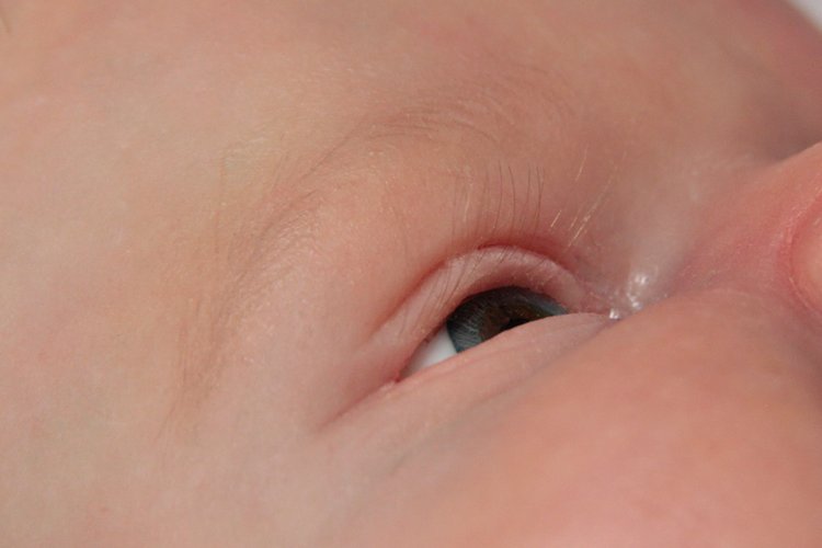 Прототип Марк от Ольги Ауэр (Marc by Olga Auer). кукла реборн Олеси Венгер