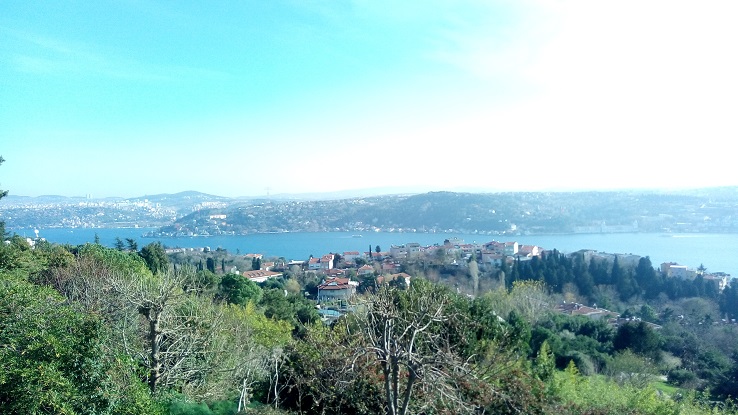 Путешествие в Стамбул — Туризм и путешествия: фотоотчеты из поездок