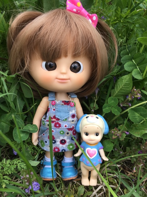 Поездка на дачу с Mui-chan, Migliorati и Sonny angel