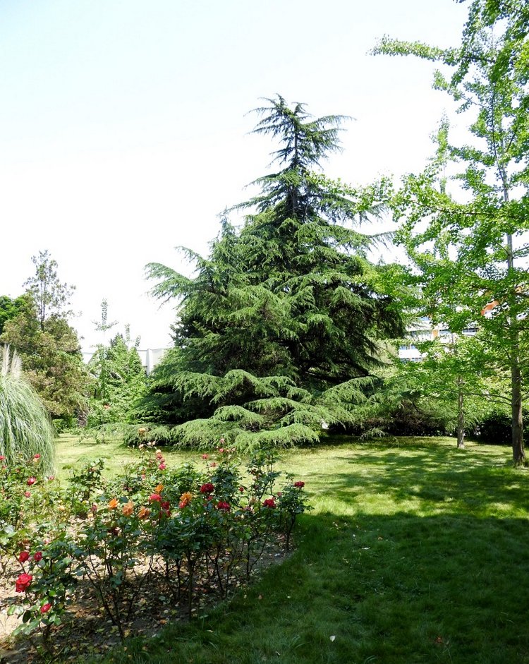 Краснодарский Край, Сочи-Адлер, Санаторий «Южное Взморье»