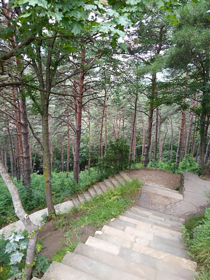 Возвращение Хелены в Кисловодск: опять за своё