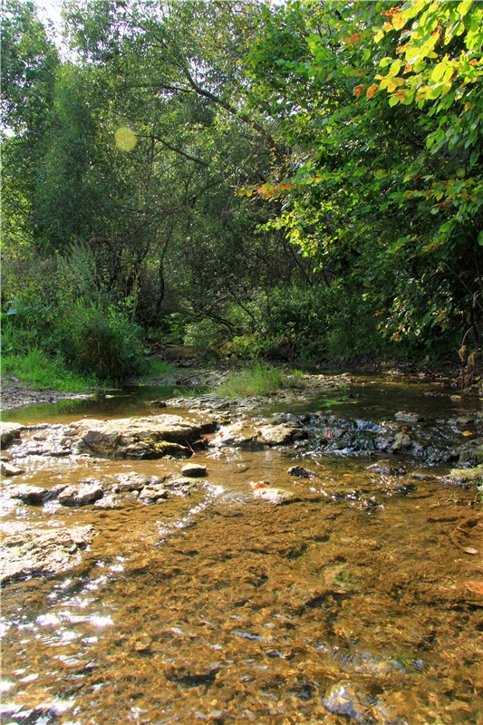 Старицкая Швейцария. Путешествие с Сашей, продолжение. Уникальная кукла от Сильвии Наттерер