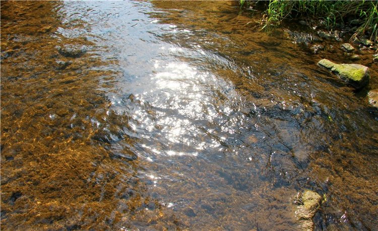 Старицкая Швейцария. Путешествие с Сашей, продолжение. Уникальная кукла от Сильвии Наттерер (фото 7)