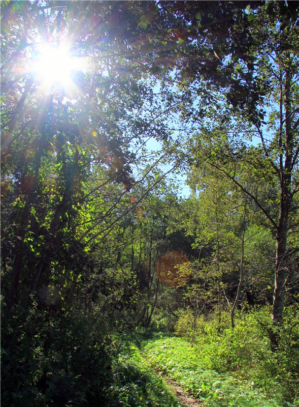 Старицкая Швейцария. Старицкие пещеры, д. Толпино, заключительная часть