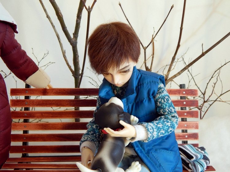 Ну где же ты, дружок — Фотоистории с куклами BJD (БЖД): сериалы