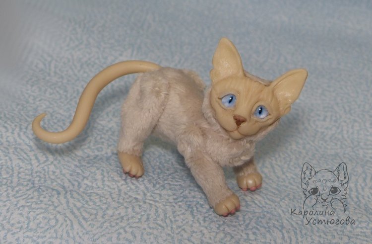 Два миниатюрных котика Сфинкса (фото 7)