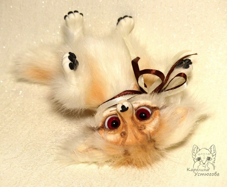 Маленький лис Фенек, по имени Эрик (фото 7)