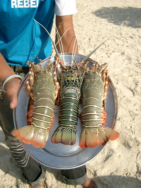 Сказочная Индия — Туризм и путешествия: фотоотчеты из поездок