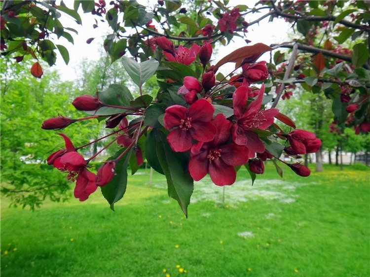 Милый мой город. Прогулка по Твери, заключительная часть