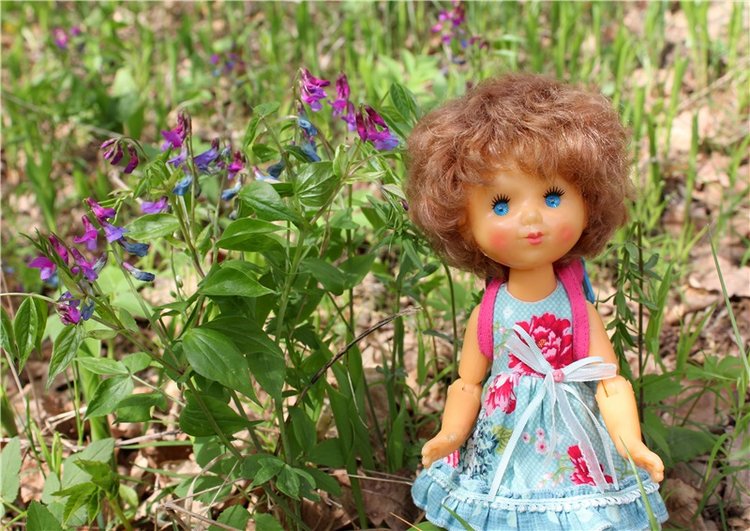 Женя-путешественница — Советские винтажные куклы (СССР): Ленигрушка