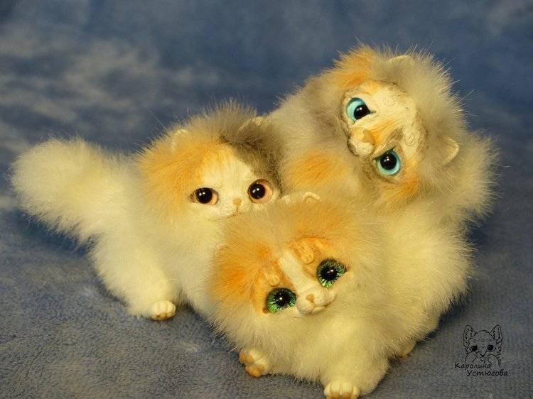 Три котенка Джейн, Пирожок и Апельсинчик (фото 6)