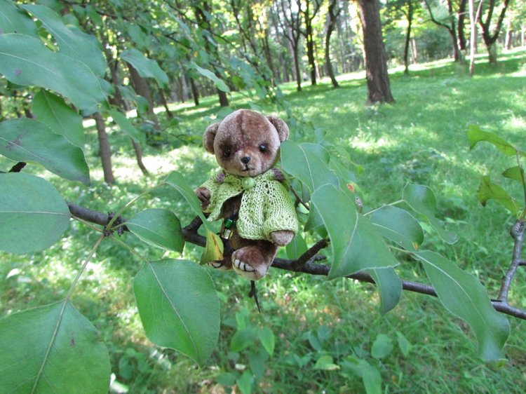 Малышня на прогулке в Бирюлёвском дендропарке