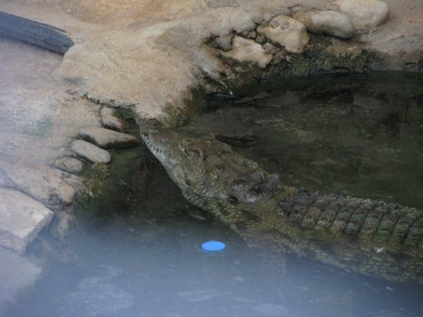 Путешествие на о. Кипр — Туризм и путешествия: фотоотчеты из поездок