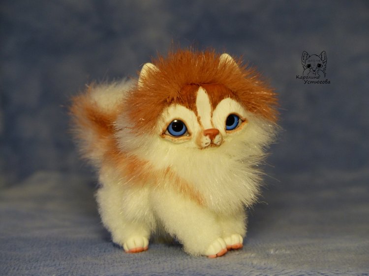 Щенок Хаски, миниатюра. Медный Окрас (фото 4)