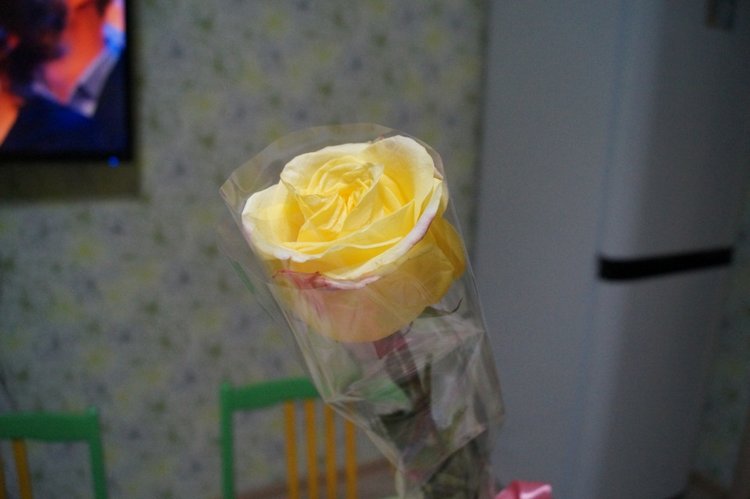 Агаша шьёт для Блайз + обзор подарков от друзей