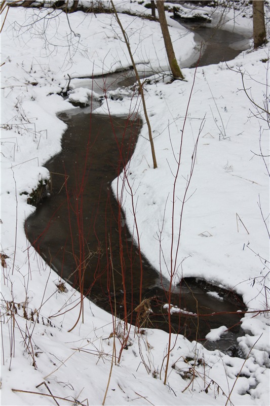 Путешествие в первый день Весны