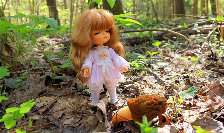 Путешествие Софи в Старицу. Lati HoneyBee New Mystic Sophie