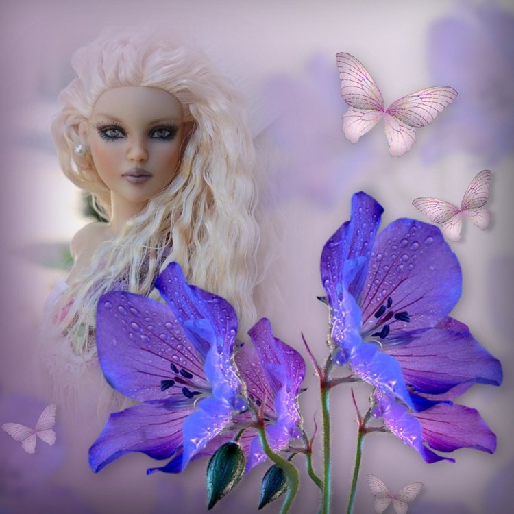 Мои Тоннерки. Фотозарисовки