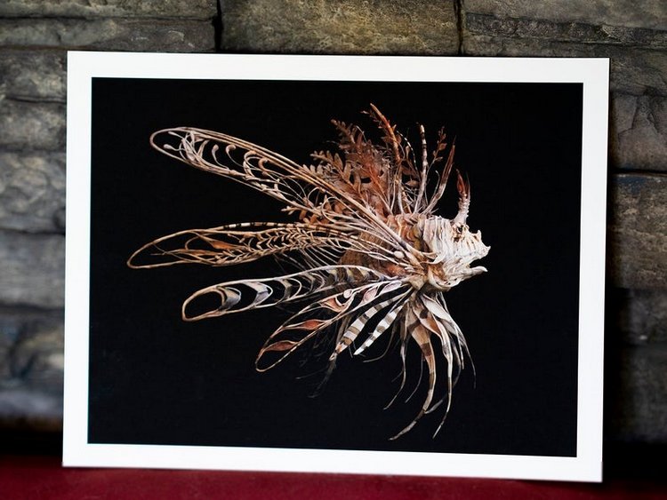 EllenJewettPrintShop - "Сюрреалистическая естественная история" by Ellen Jewett