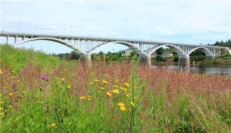 Июльское путешествие в Старицу