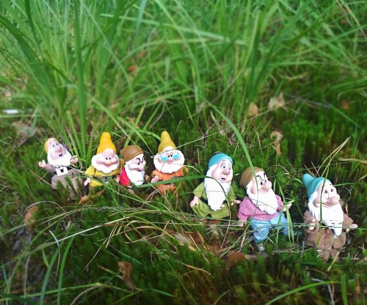 Осеннею порой под старою сосной... Принц, Белоснежка и гномы... встречаются (фото 7)