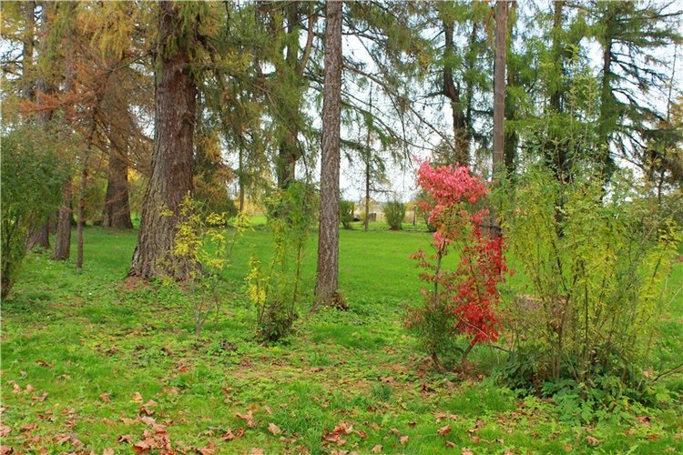 Золотая Осень в Берново с Имани. Mini Imani от Kaye Wiggs