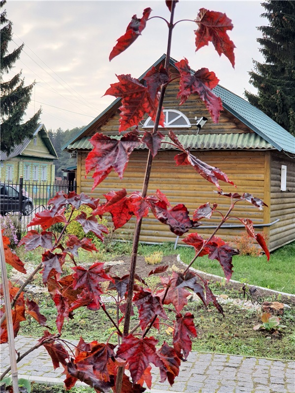 Путешествие по Святым местам Тверской области, продолжение