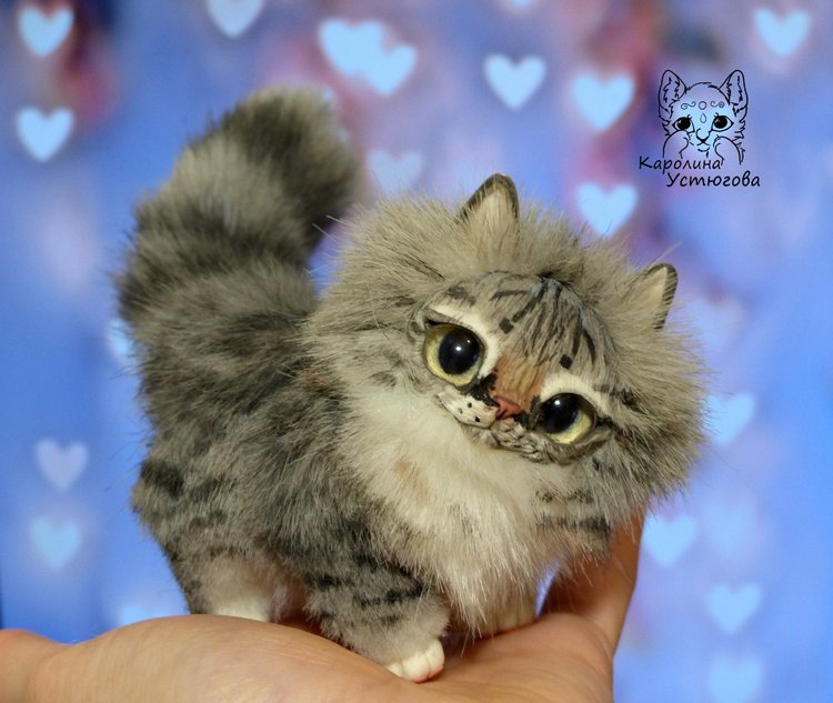 Котята Сибирской породы Табби и Мраморный биколор