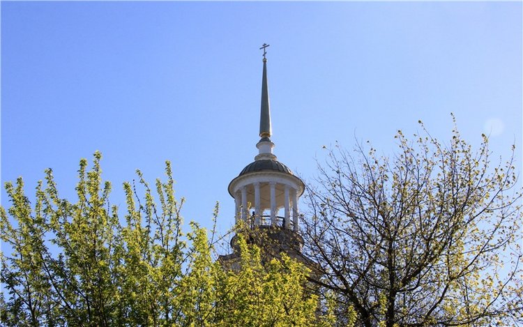 Одуванчиковая нежность, прогулка по Торжку