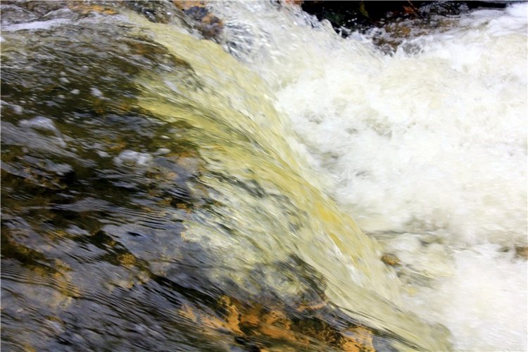 Путешествие Имани в ПанИку