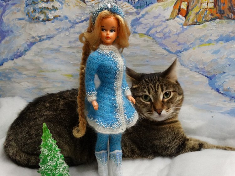 Кото-фото — В мире животных: смешные фото питомцев и зверей (фото 6)