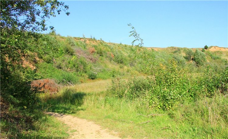 Инопланетянка Нийя. Custom Blythe Doll UFO Go Go Takara