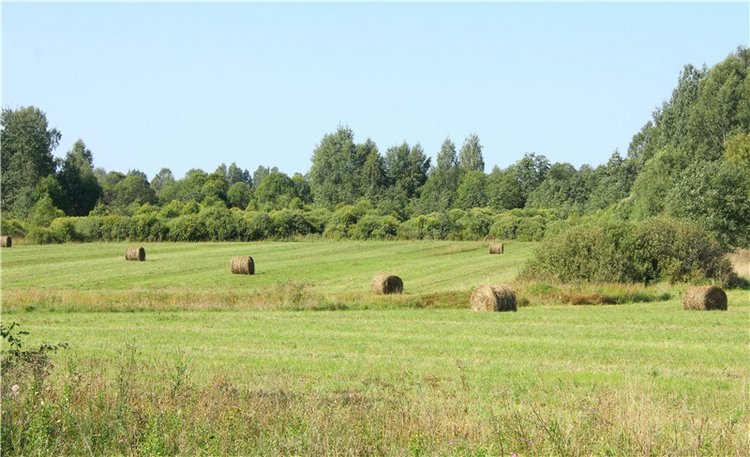 Старицкая Швейцария. Путешествие Мии. Minifee Miyu FairlyLand | Бэйбики Старицкая Швейцария. Путешествие Мии. Minifee Miyu FairlyLand