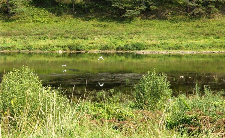 Старицкая Швейцария. Путешествие с Сашей, продолжение. Уникальная кукла от Сильвии Наттерер