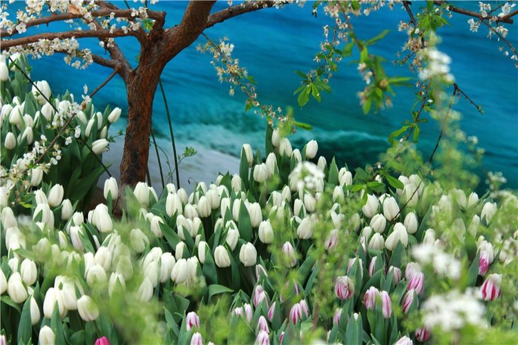 Тюльпановый Рай, продолжение. Выставка тюльпанов в Твери. Mini Layla elf Sunkissed skin от Kaye Wiggs