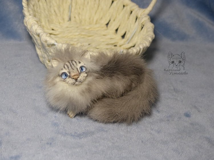 Котята Невские маскарадные, окрас Тэбби пойнт