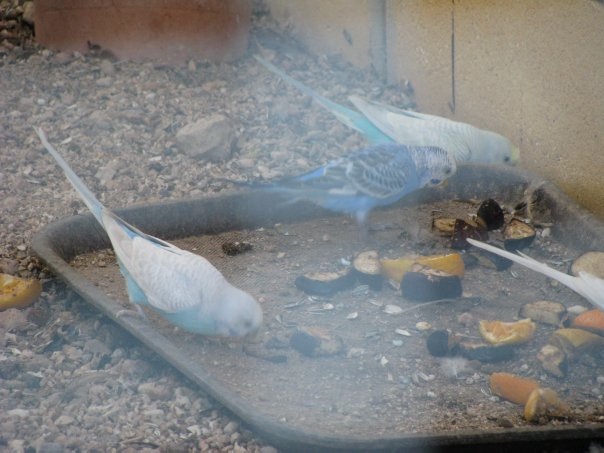 Путешествие на о. Кипр — Туризм и путешествия: фотоотчеты из поездок