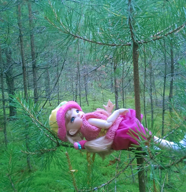 Лесные приключения... Волшебство, сосны, грибы, полетаем)