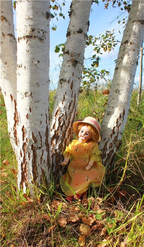 Странница во времени — Антикварные куклы Simon & Halbig (S&H): Симон Хальбиг